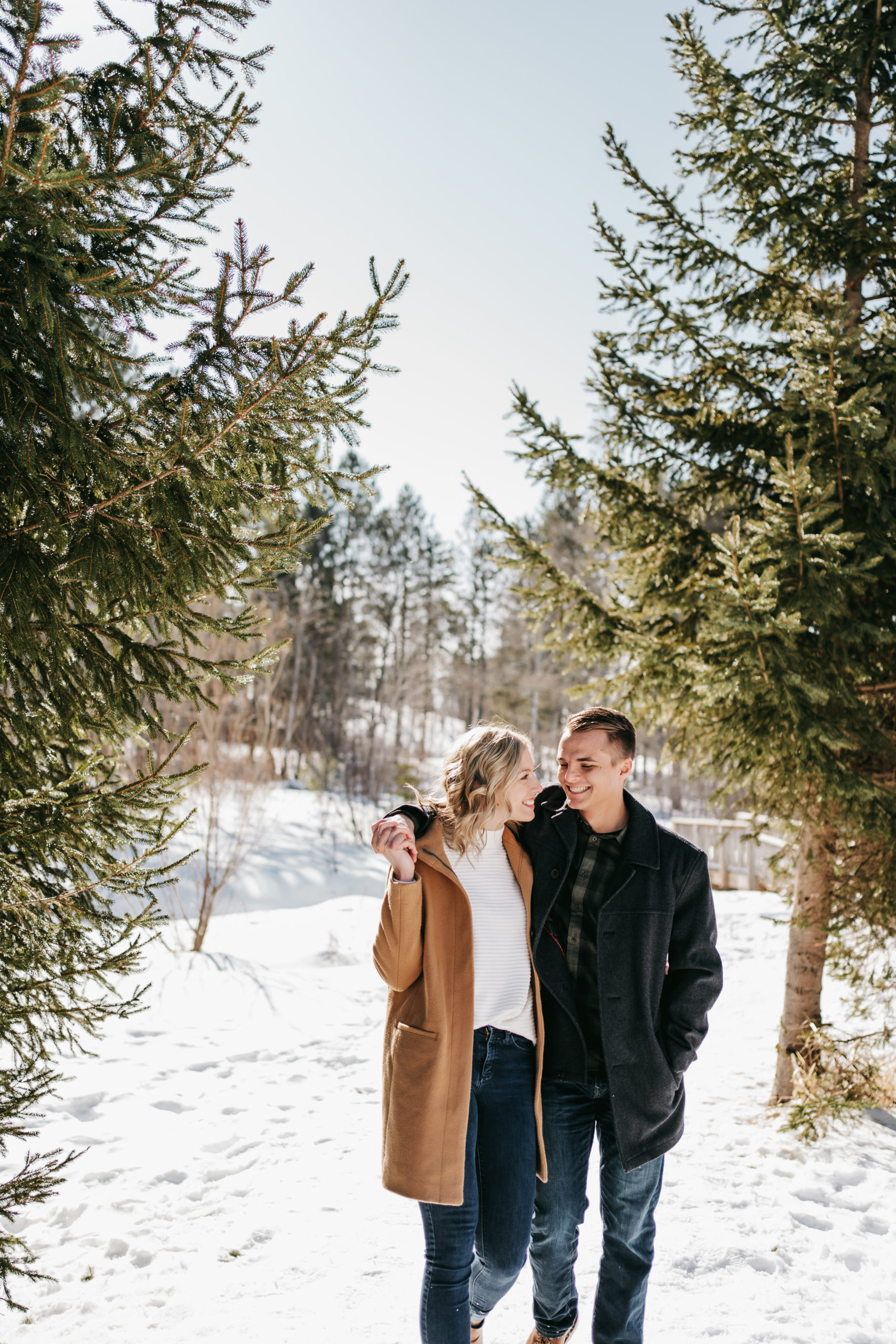 An engaged couple laughs in front of some pine trees in Northern Minnesota during their engagement session.