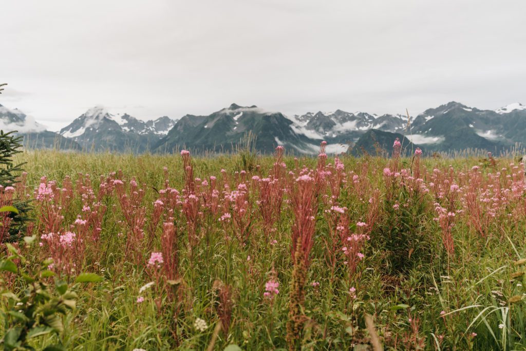 Alaska Trip Recap featuring a surprise proposal
