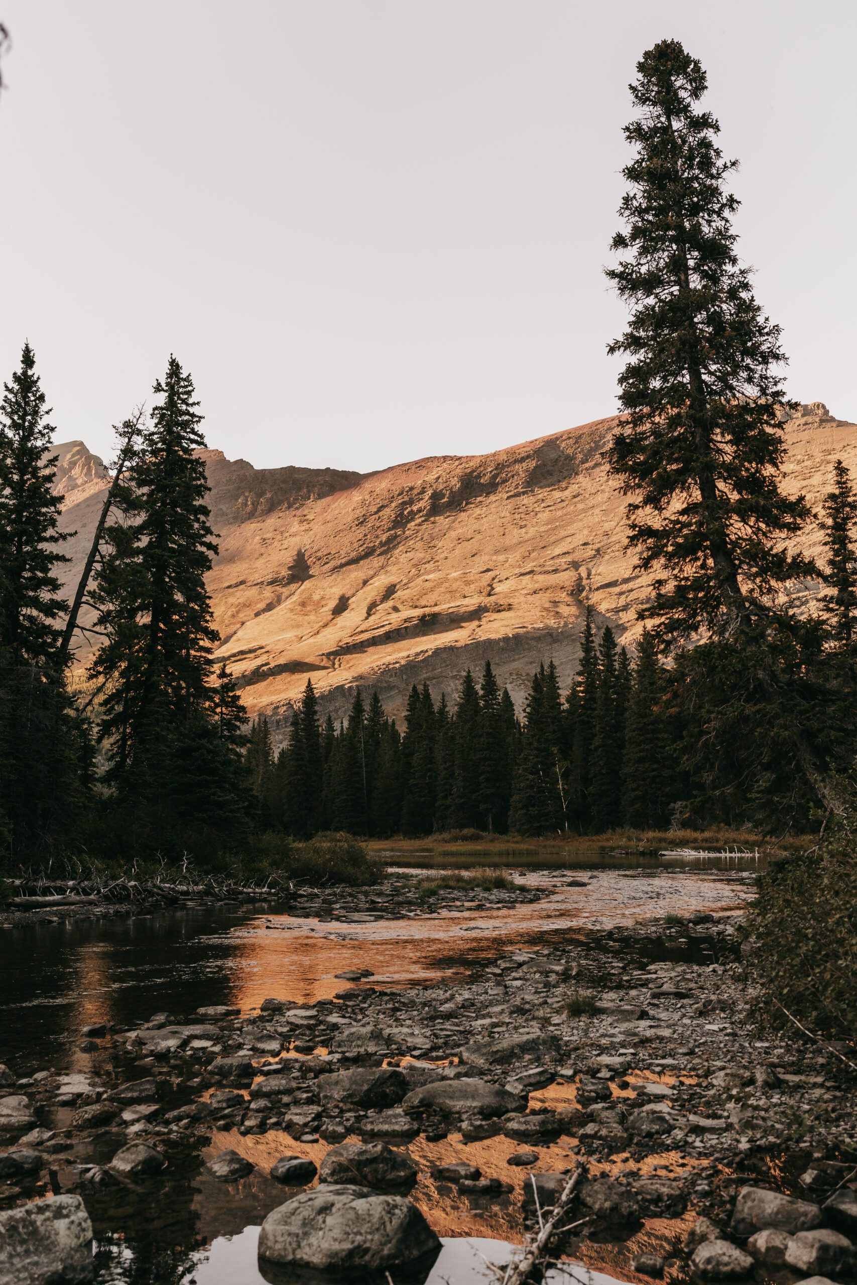 Landscape photo of Glacier National Park at sunset