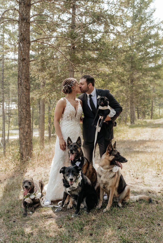 how to include your dog in your wedding