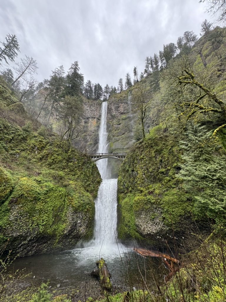 Multnomah Falls in April