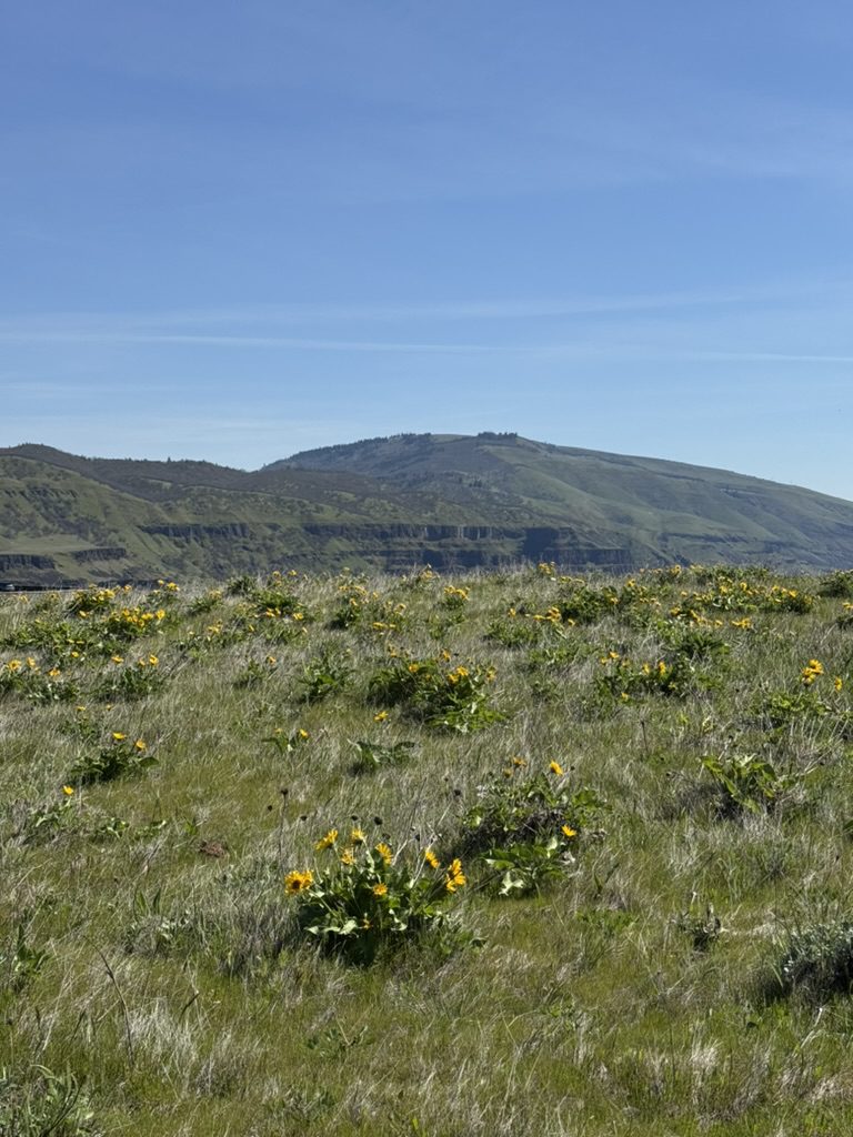 Visiting the Columbia River Gorge