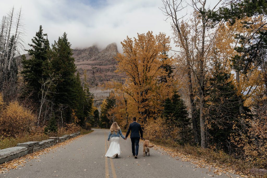 Elopement activities for couples with dogs