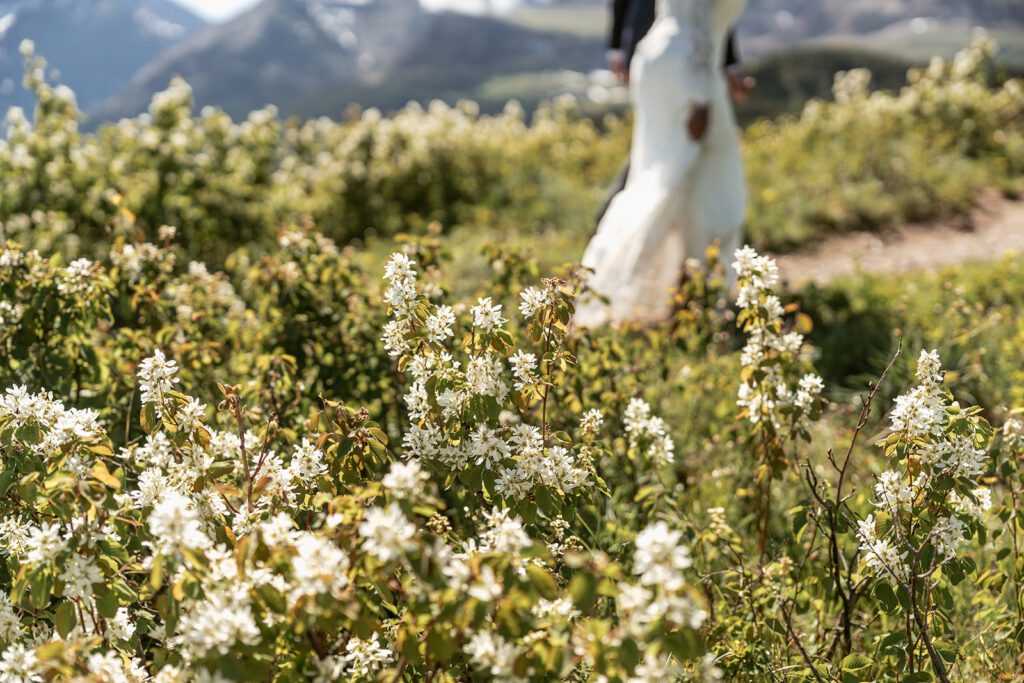 Mountain bridal portraits on a clear day in late Spring at Glacier National Park, photographed by Sydney Breann Photography. 