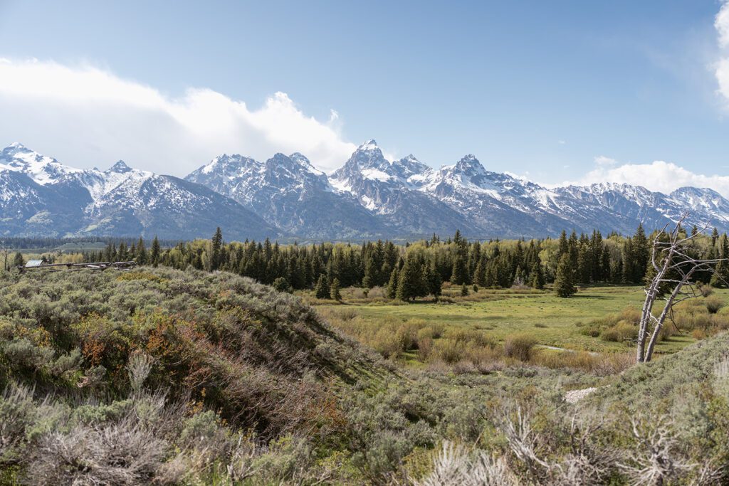Jackson Hole, Wyoming romantic elopement inspiration