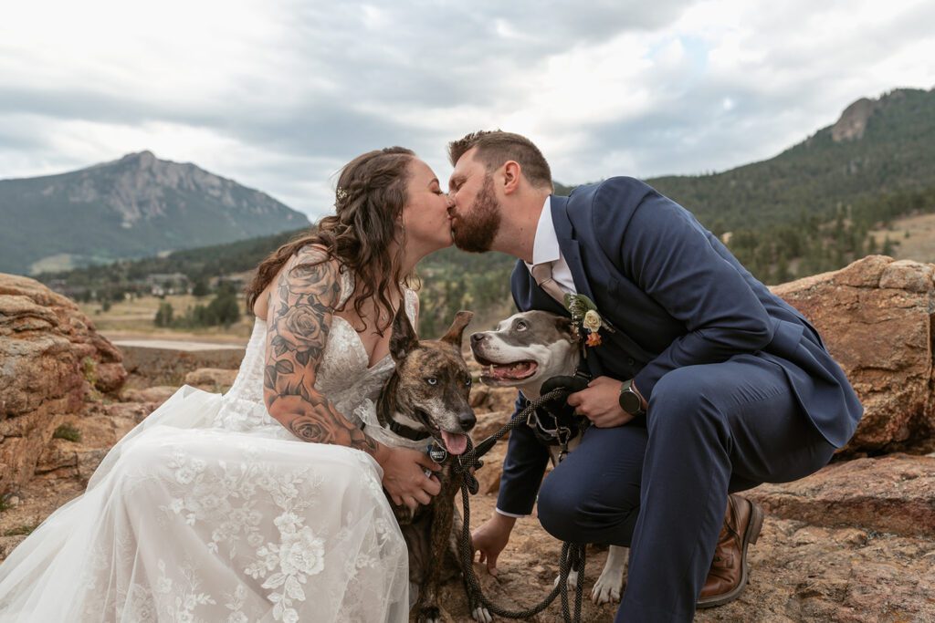 Including your dogs in your wedding