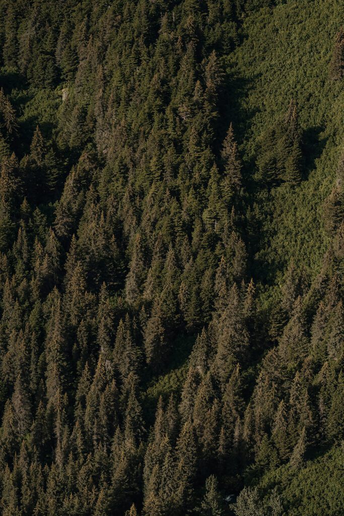 Girdwood, Alaska elopement with Alpine Air Alaska